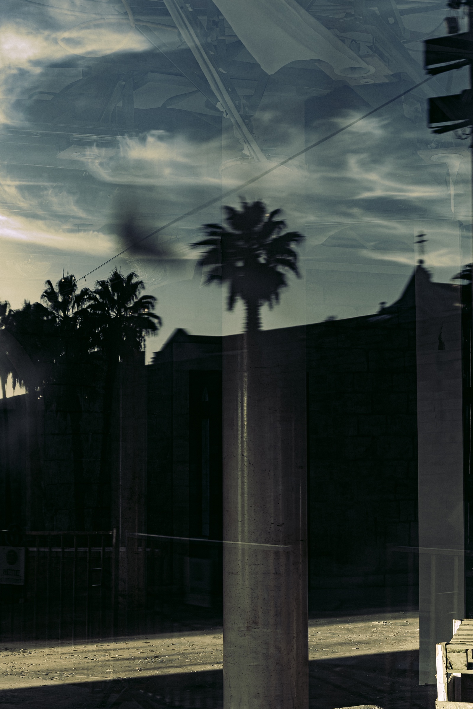 Palm trees, clouds and Jerusalem architecture layered in reflection